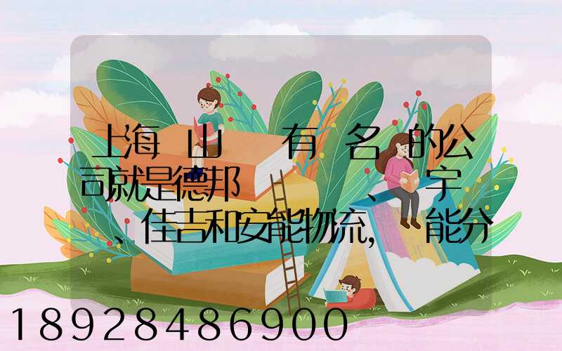 上海寶山區這有點名氣的公司就是德邦、華宇、佳吉和安能物流,誰能分析...